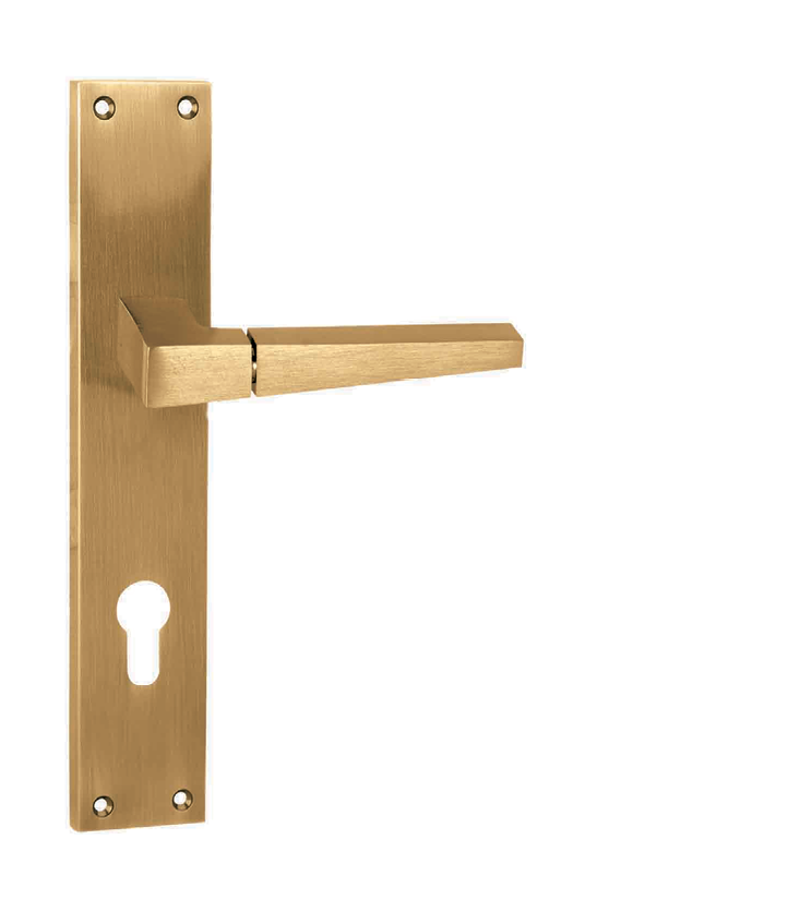 Indian Mortise Door Handle & Lock On Plate For Resorts